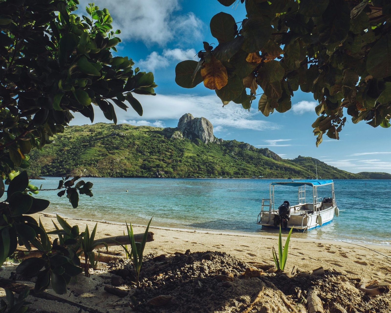 Fiji 3