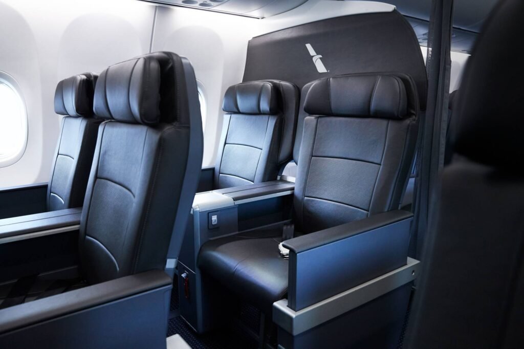 American Airlines Domestic First Class 1